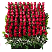 Arreglo de rosas rojas de invernadero compuesto por 72 piezas colocadas en una elegante canasta. Envía flores a domicilio desde nuestra florería en línea Liliana.
