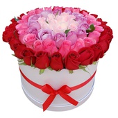 Rosas en caja Rainbows compuesta por 60 rosas de invernadero.