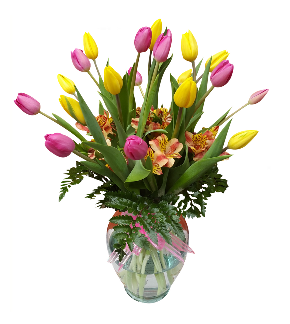 Bellísimo arreglo de flores compuesto de 20 tulipanes holandeses en color amarillo y color rosa acompañado de astromelias, follaje y listón de tela que forma un hermoso moño.