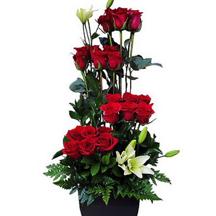 Arreglo de 24 rosas rojas en fina base de madera, en forma de escalón con fino follaje.