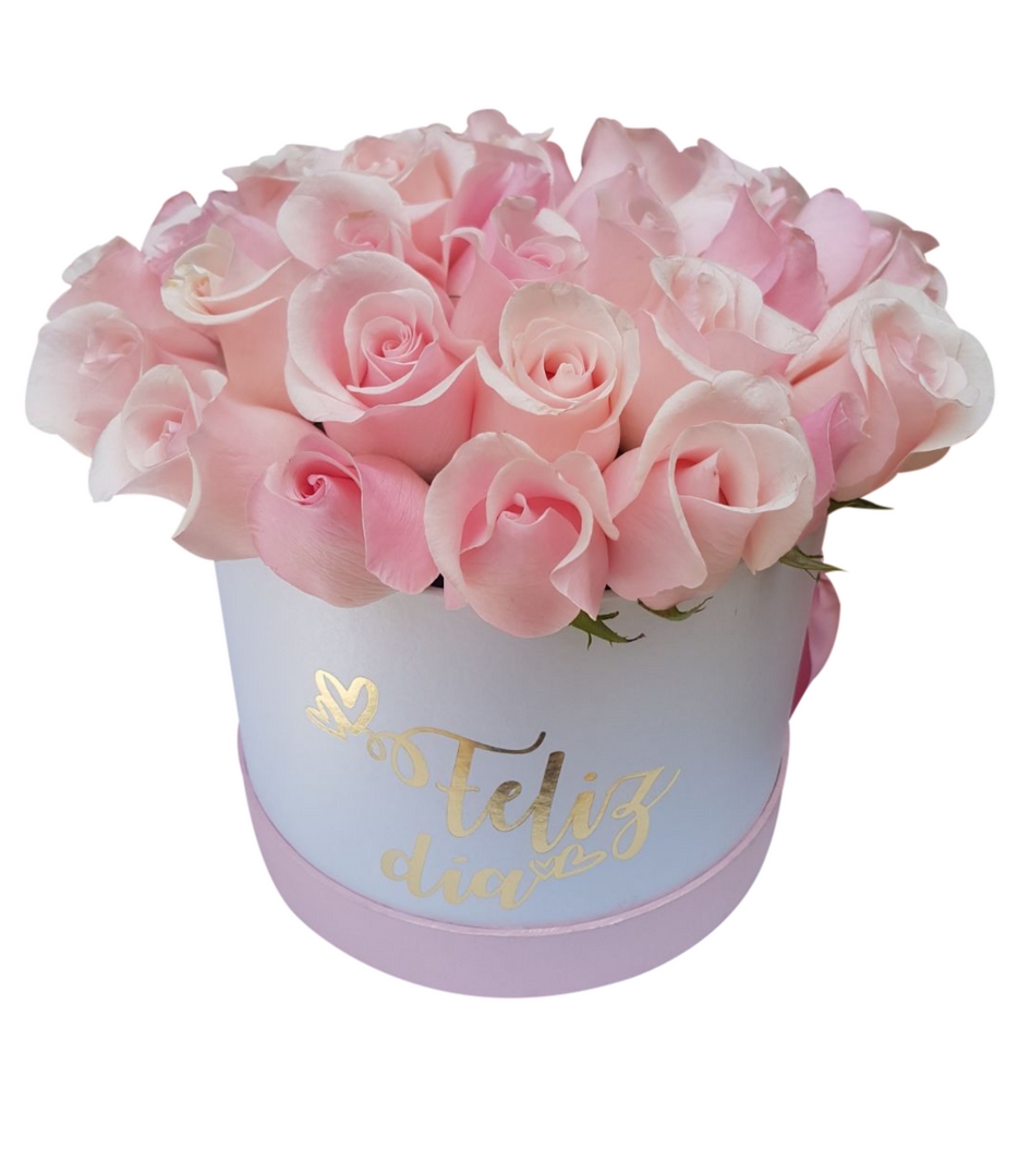 Hermosa caja blanca cubierta por 24 rosas rosita.