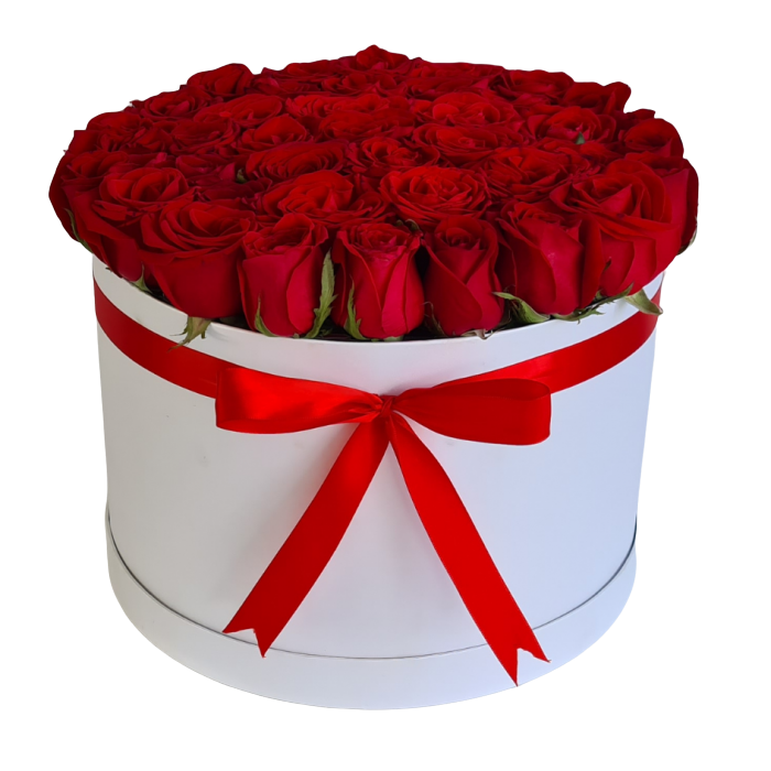 Hermosa caja de 30 rosas rojas de invernadero. Medidas de 30 x 30 cm