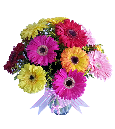 Hermoso florero transparente de 12 gerberas de colores y fino follaje, con moño.