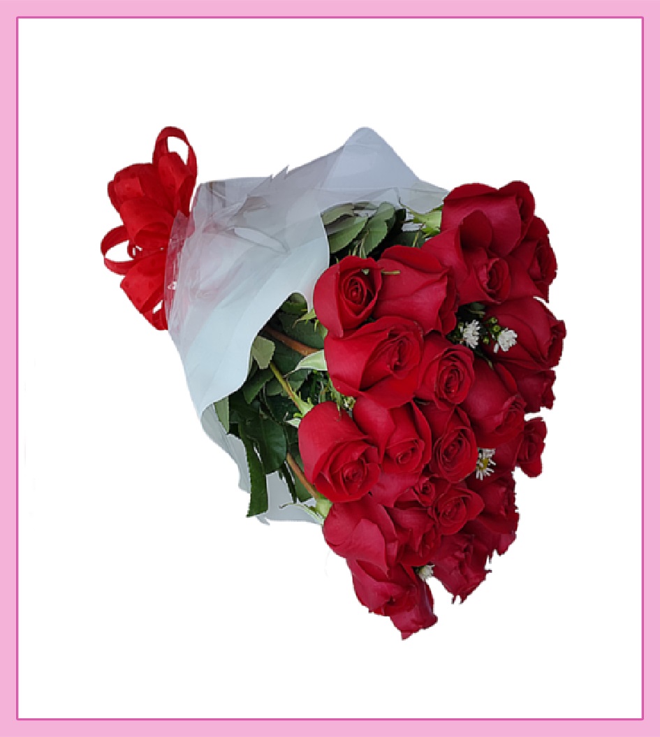 Ramo de Rosas rojas de invernadero 12 piezas acompañadas con Gypsophylia y atadas con un moño rojo, envueltas en papel celofán dándoles un toque de elegancia lo mejor en regalos a domicilio cdmx.